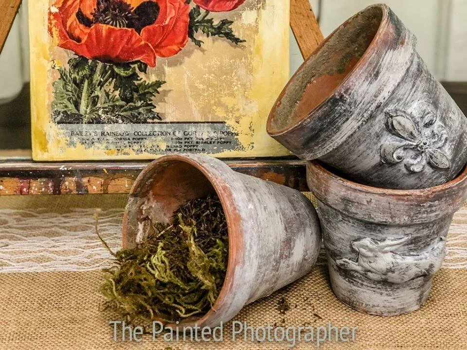 Fleur-de-lis mold.jpeg