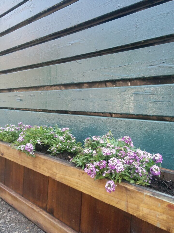 garden-box-tung-oil--720x960.jpeg