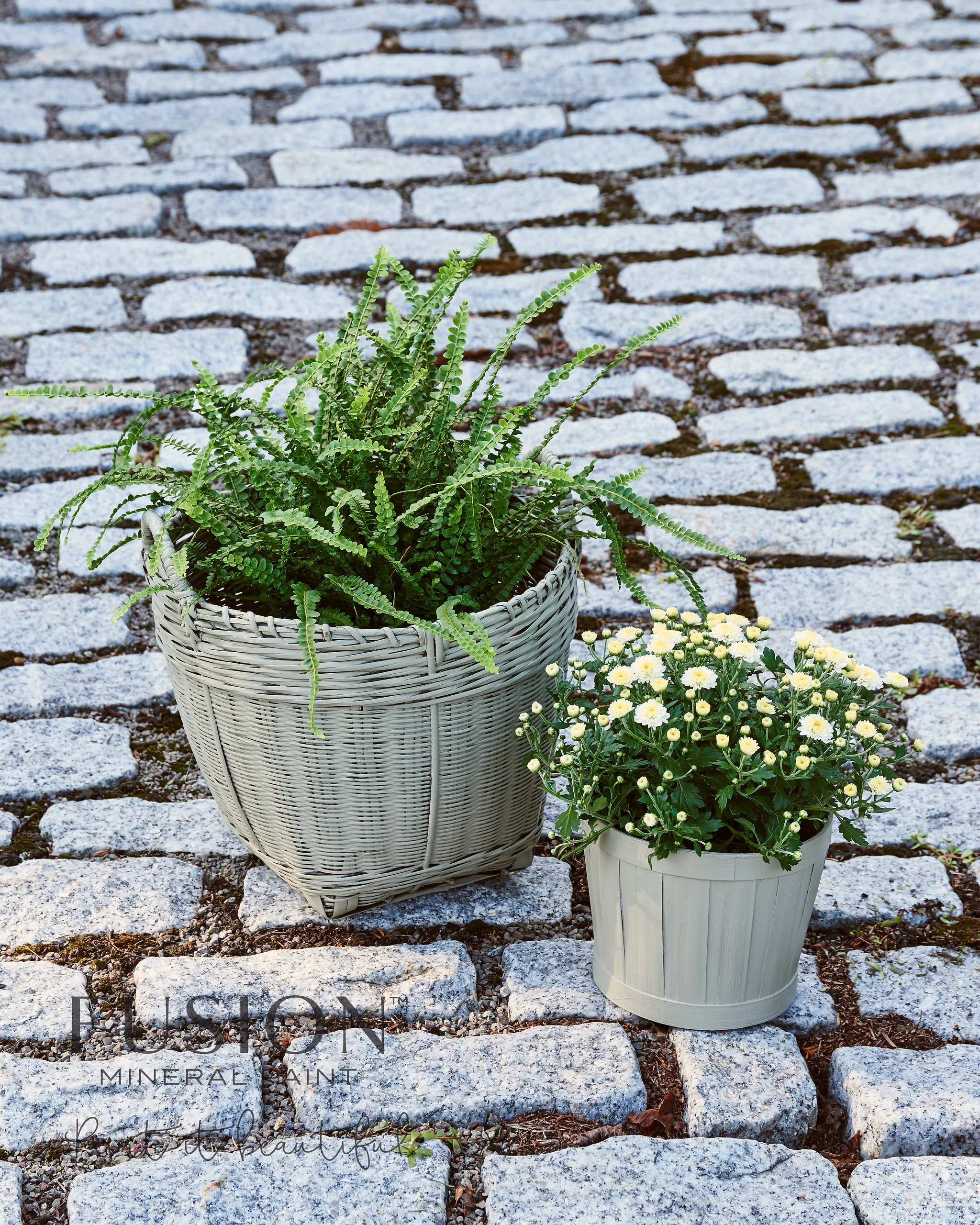 LICHEN-PENNEY-AND-CO.jpg