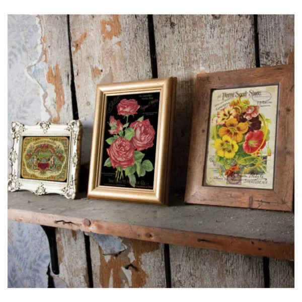 IOD Image Transfers Kelowna