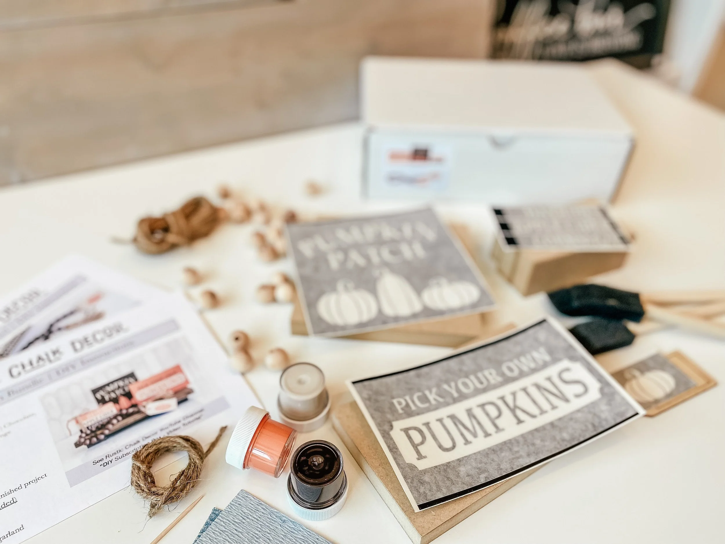 Pumpkin Patch DIY Kit.JPG