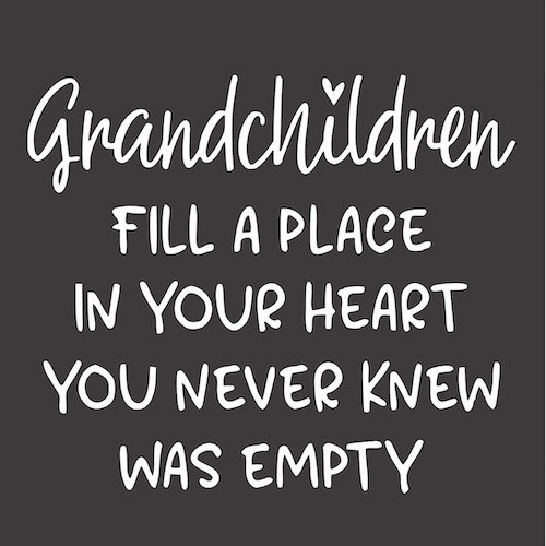 12x12 Grandchildren fill a space in your heart.jpg