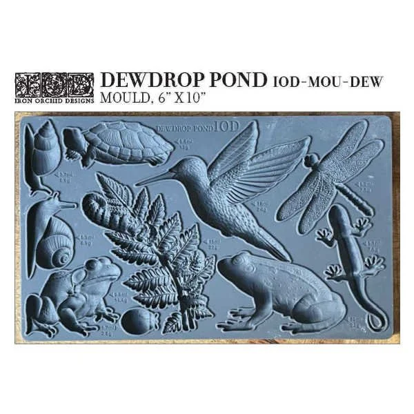 Dewdrop Pond Buy in Canada 1.jpeg