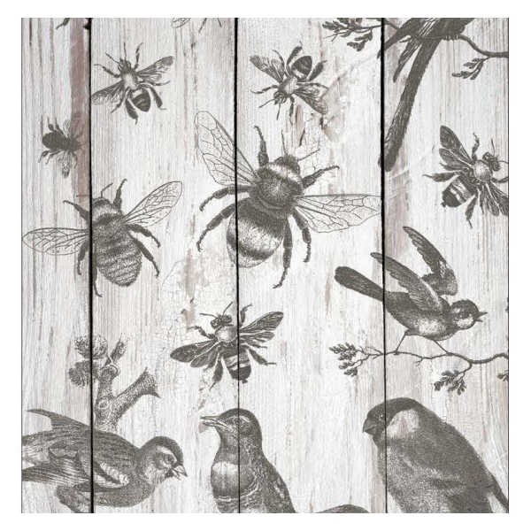 Birds and Been IDO Stamo buy in canada Kelowna2.jpeg