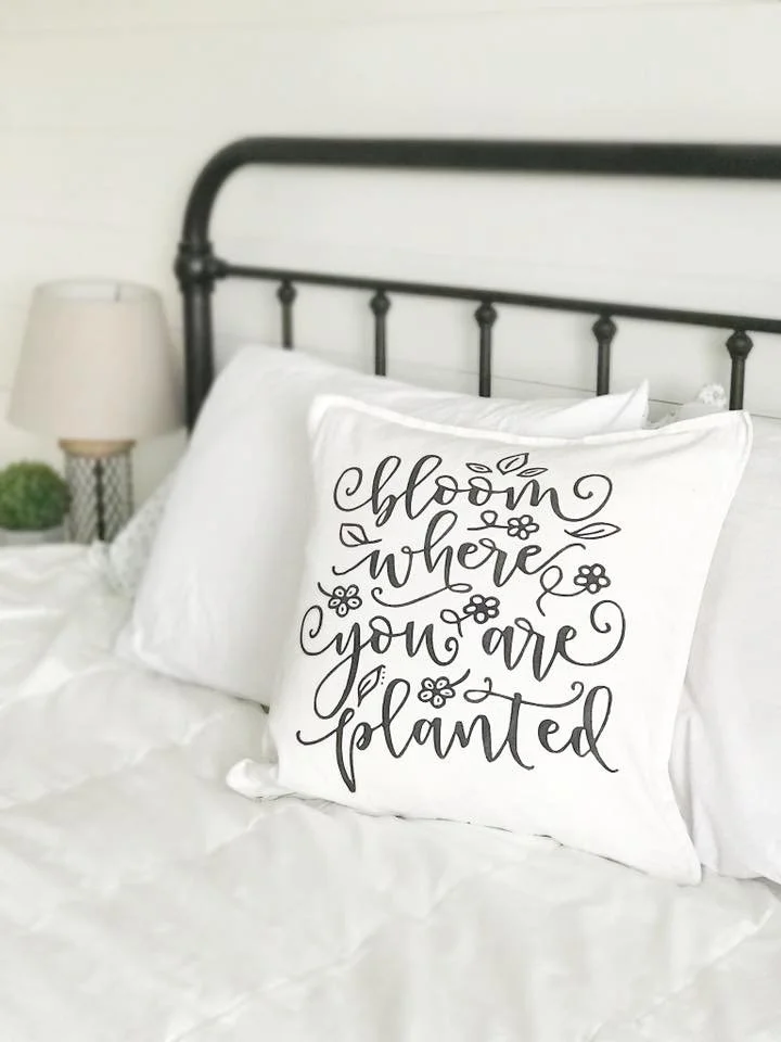 $55 - 20" Pillows