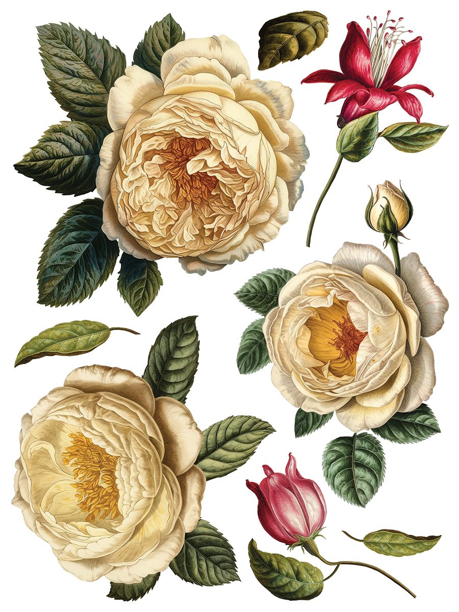 Collage de Fleurs IOD Image Transfer New buy online canada12.jpg