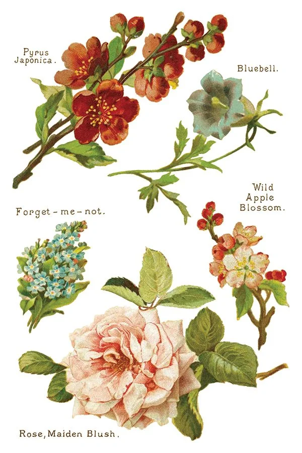 Lover of Flowers IOD Image Transfer New buy online canada 20248.jpg