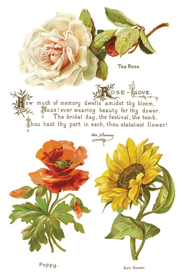 Lover of Flowers IOD Image Transfer New buy online canada 20247.jpg