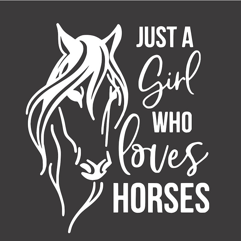 12x12 just a girl who loves horses.jpg