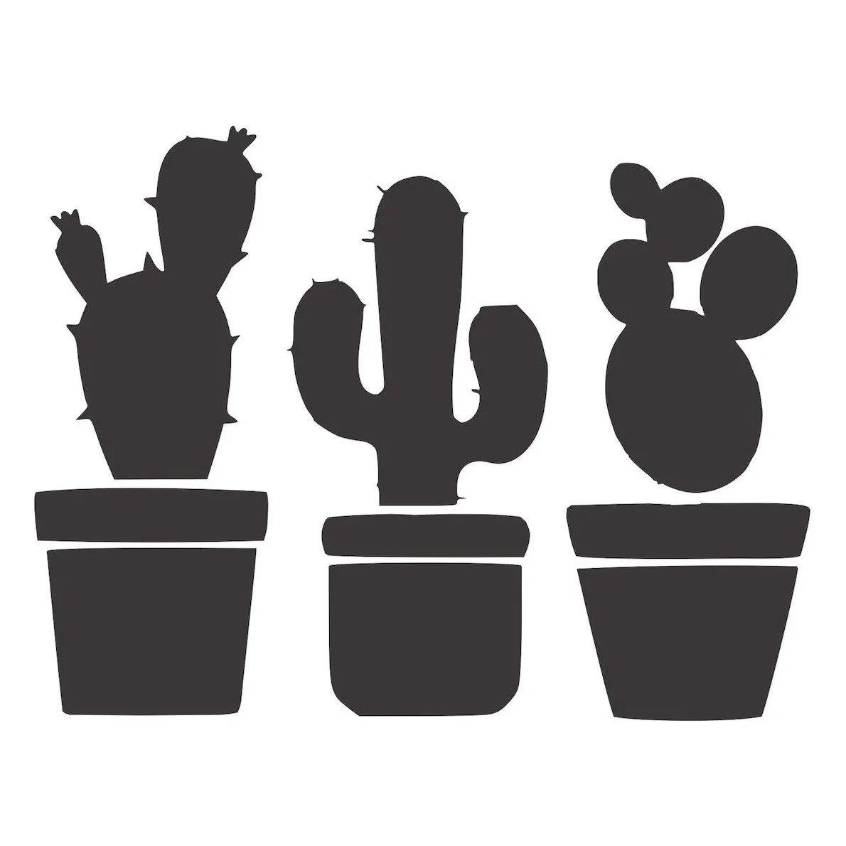 6x6+3+cactus+.jpg