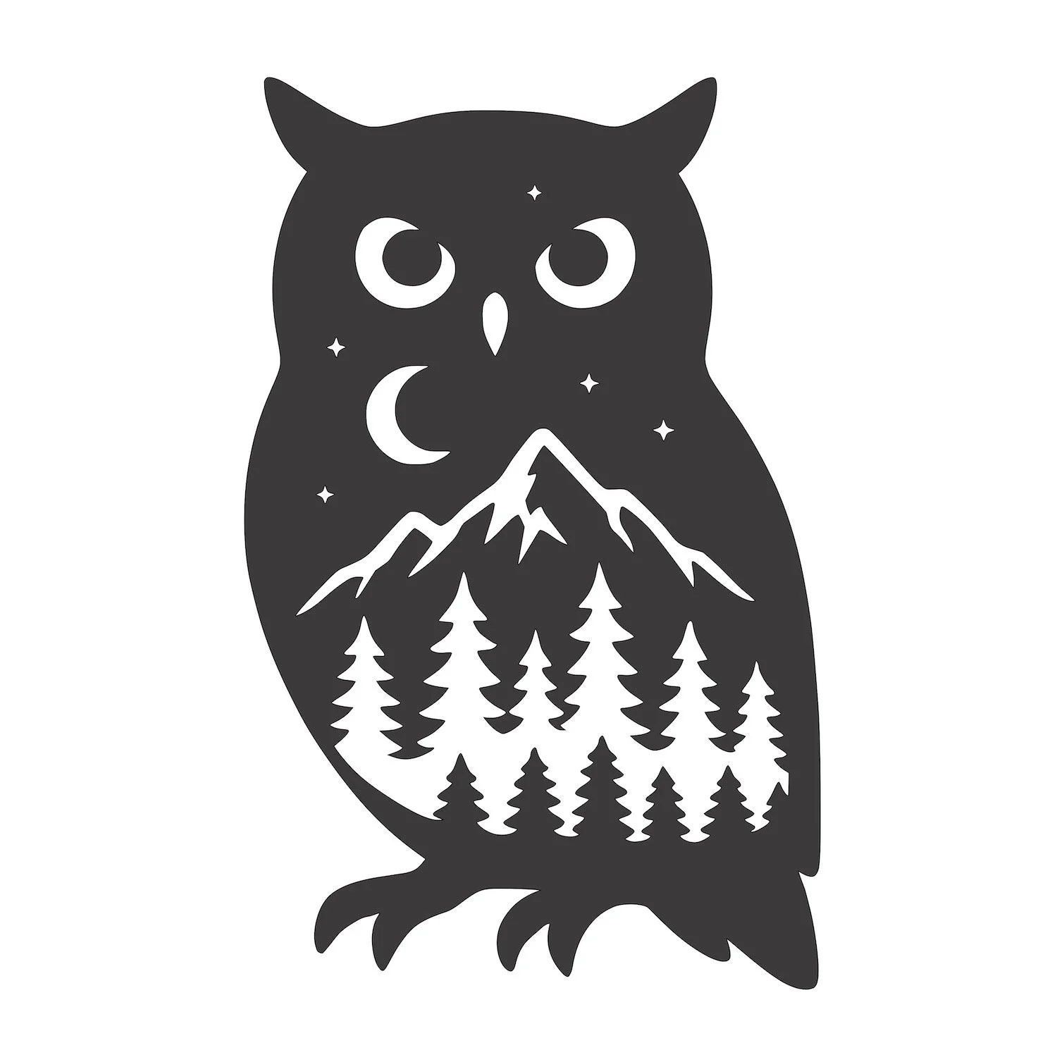 12x12 owl.jpg