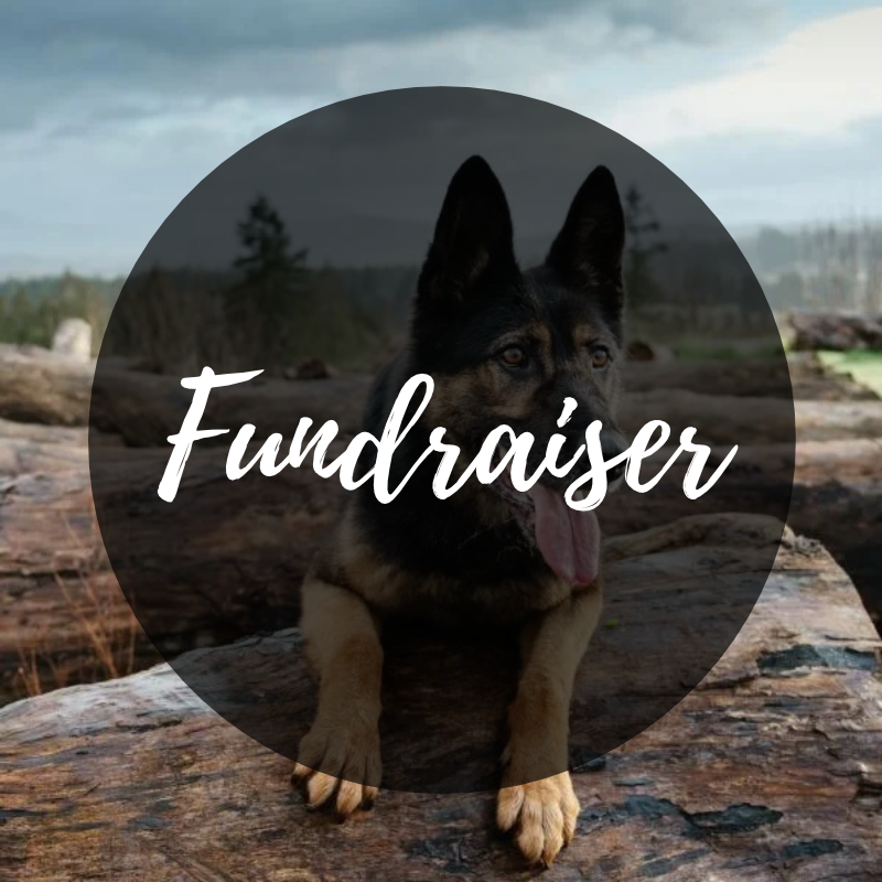 DIY Christmas Fundraiser for Neeka &amp; Ned’s Wish Foundation