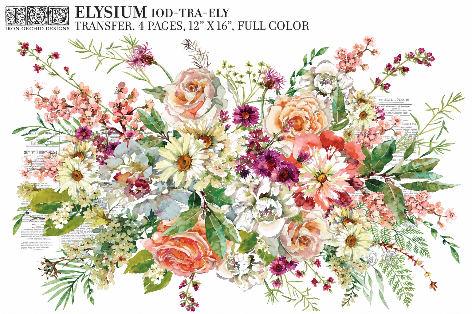 Elysium - 4 Sheet Transfer