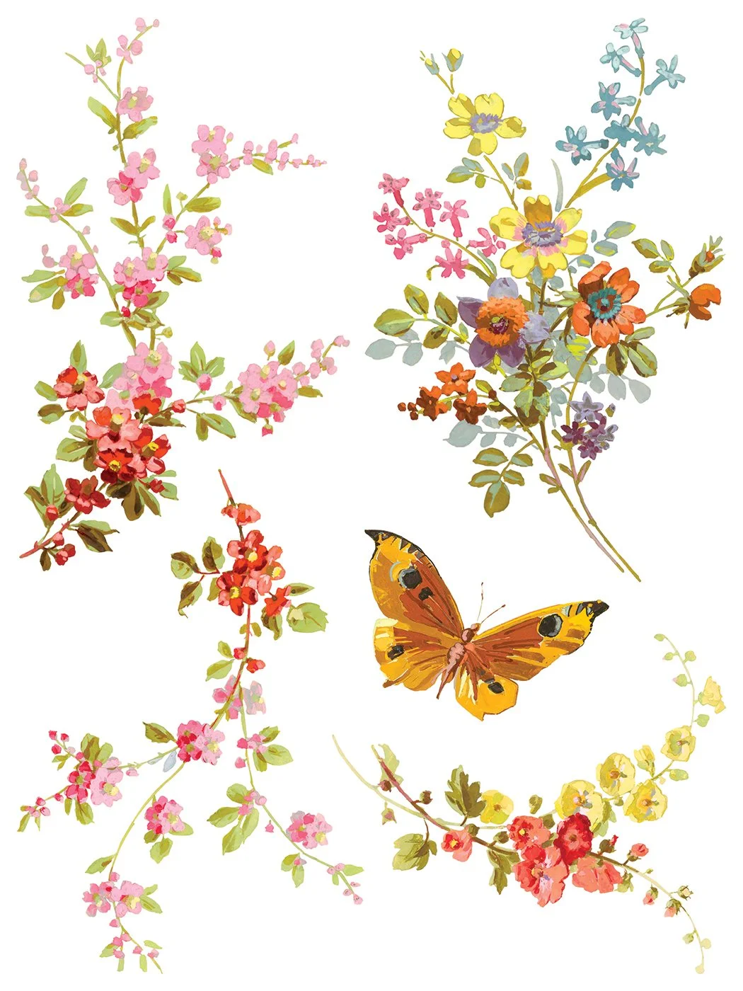 Saint Germain IOD Image Transfer 2025 buy canada online11.jpg