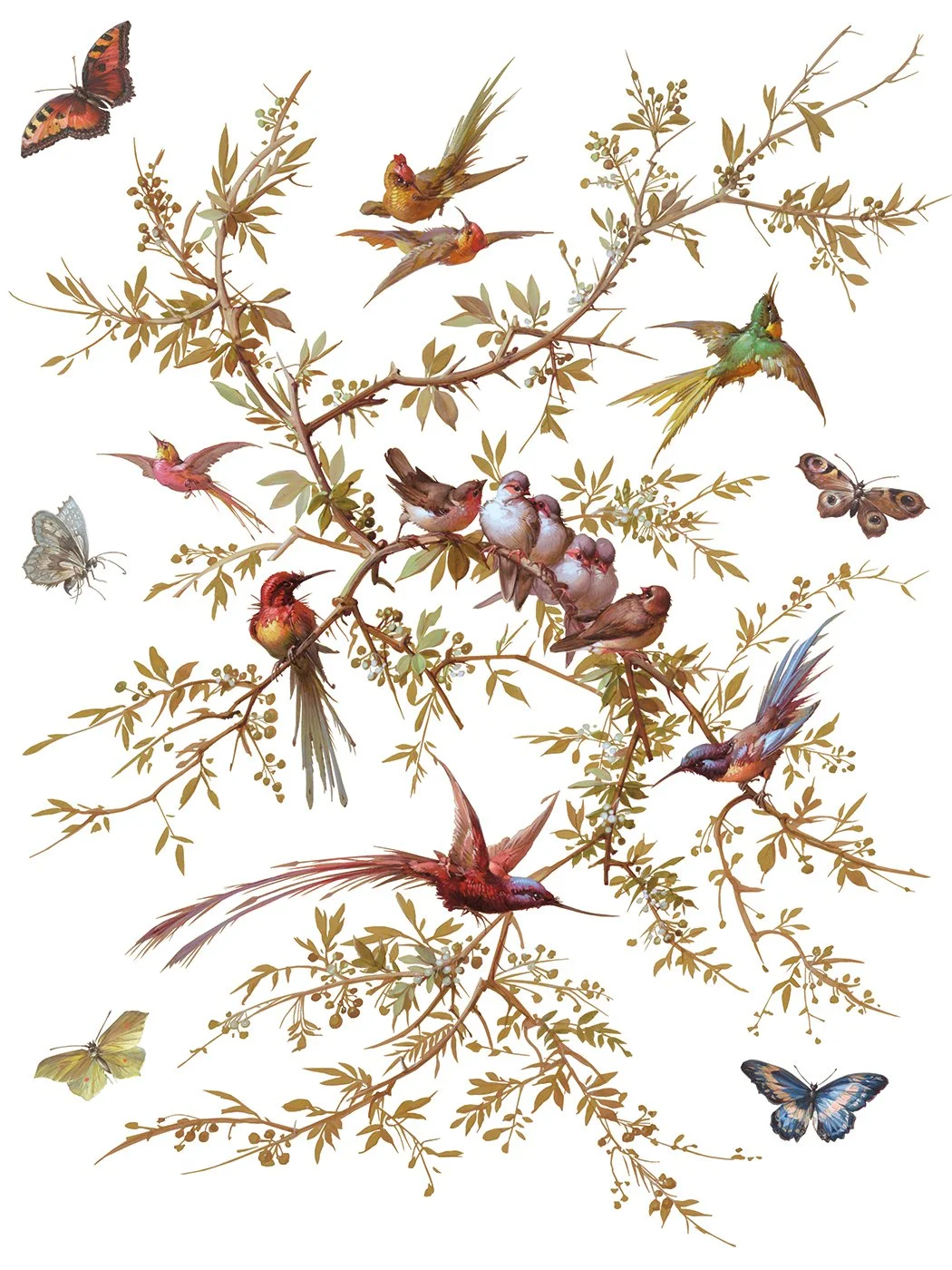 Madeleine IOD Image Tranfer 2026 spring collection 12.jpg