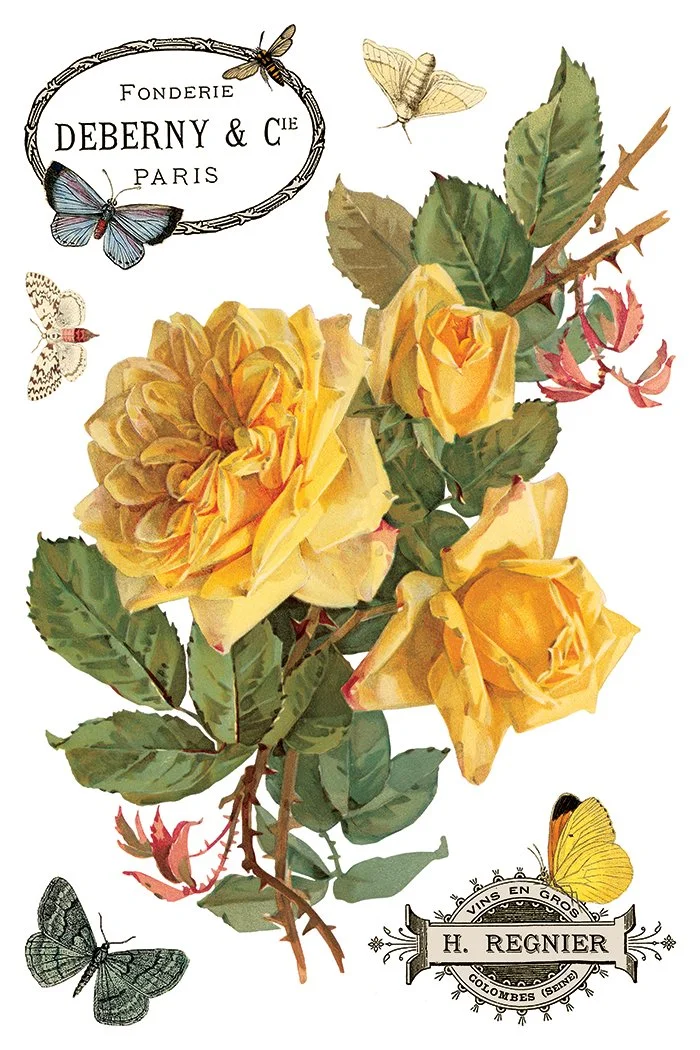 By any Other Name IOD Image Tranfer 2026 spring collection 4.jpg