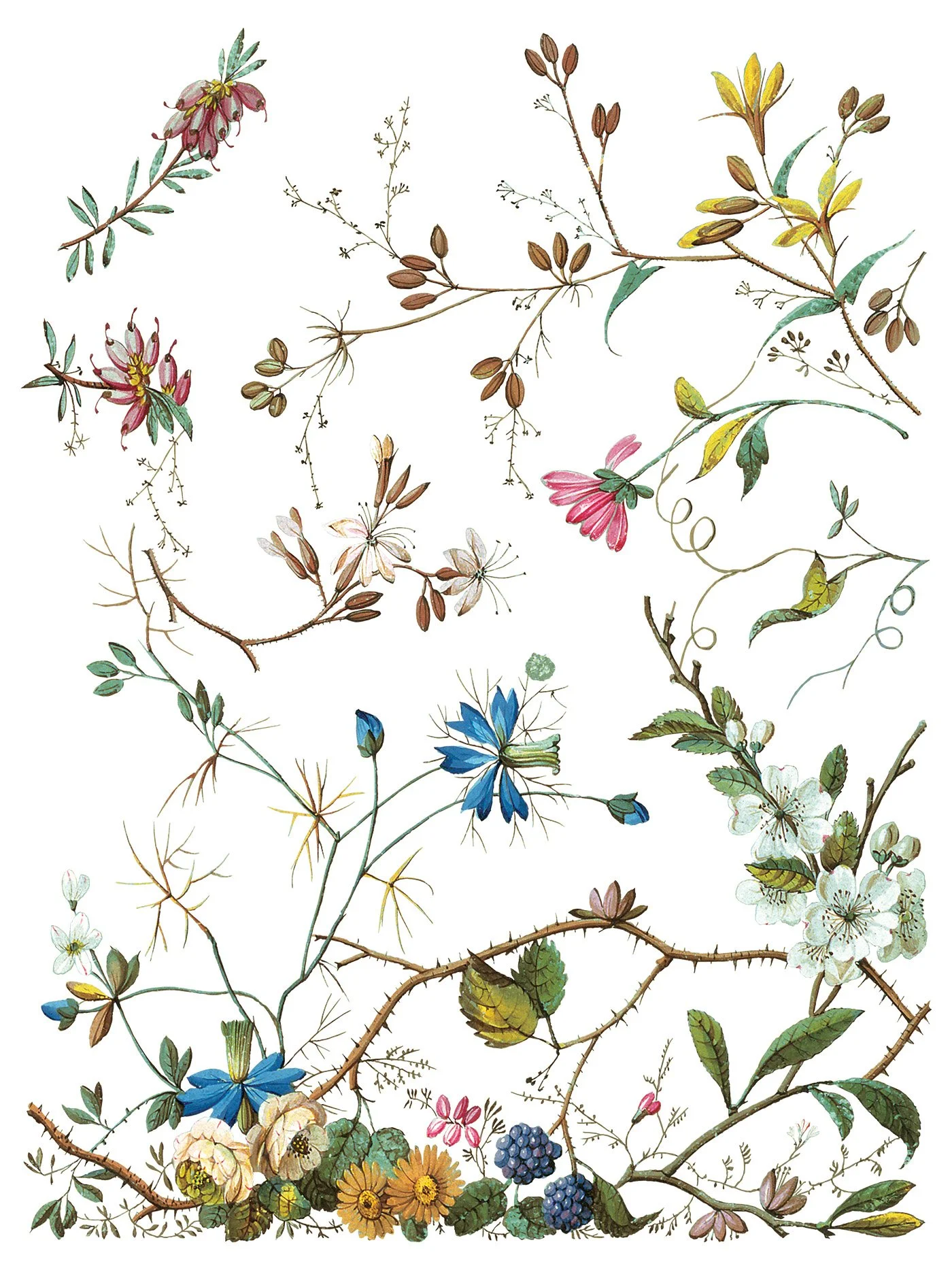 NEW lost garden - IOD Transfer 2025 buy in Canada online9.jpg
