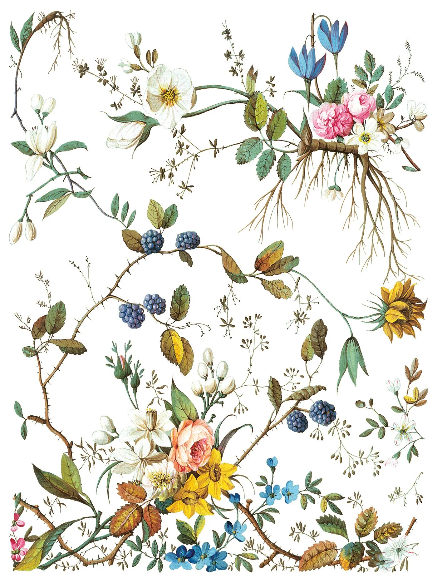 NEW lost garden - IOD Transfer 2025 buy in Canada online8.jpg