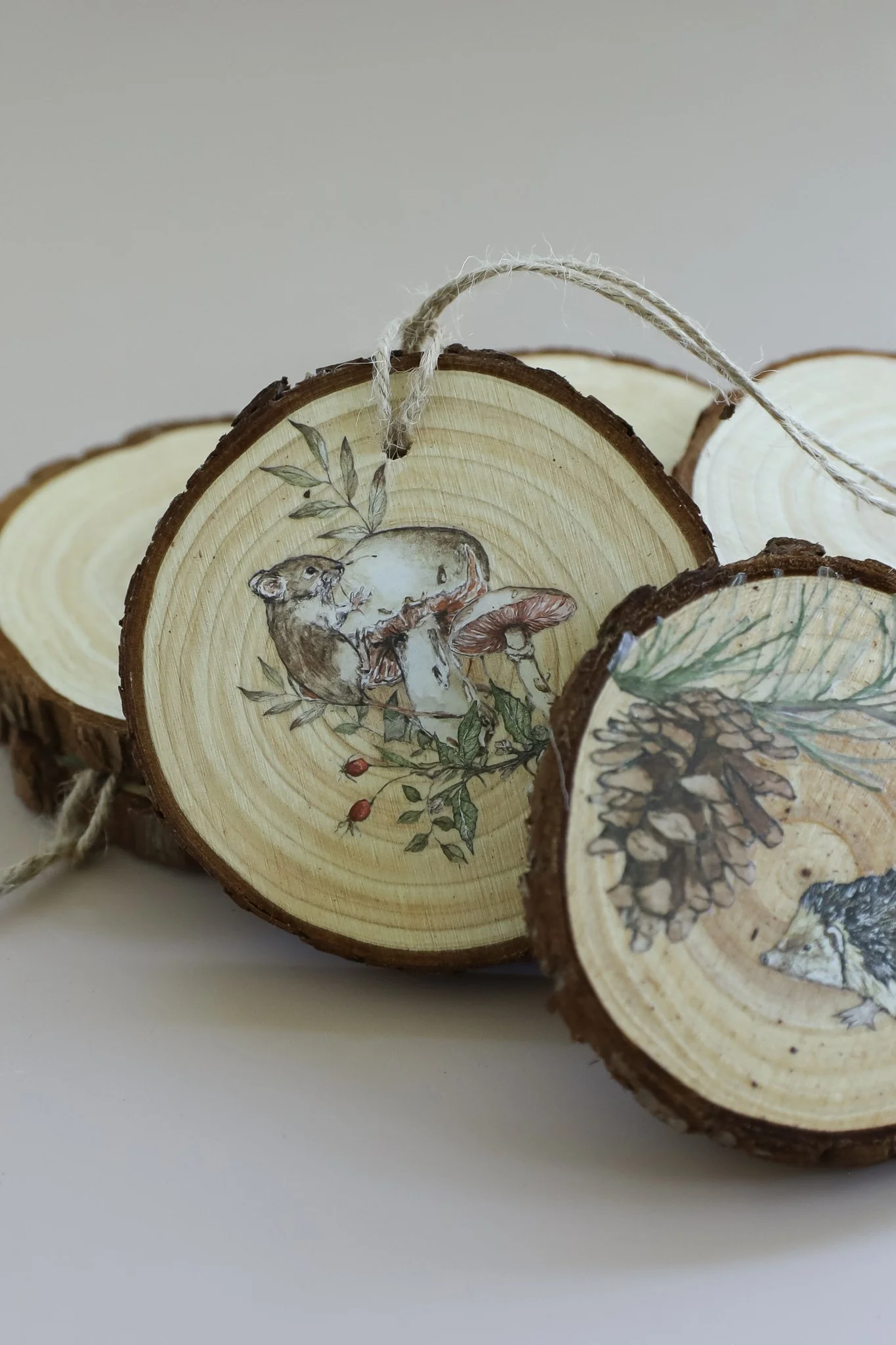 The Bramblewood _Diaries_IOD_Iron_Orchid_Design_transfer5.jpg