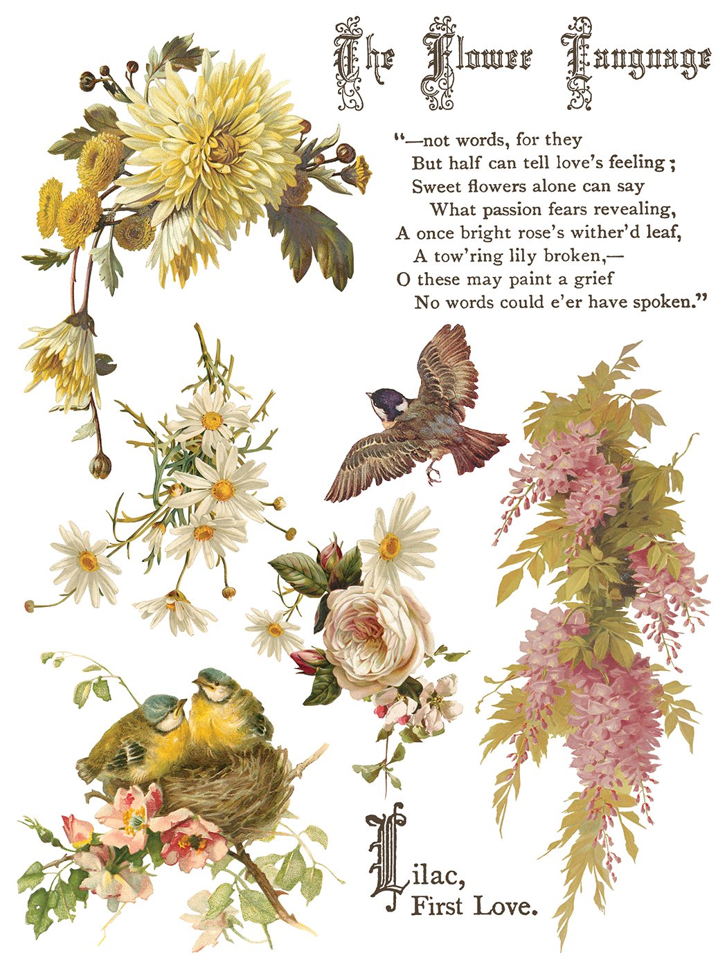 iod-flowers-by-the-poets-large-transfer-furniture.jpg9.jpg