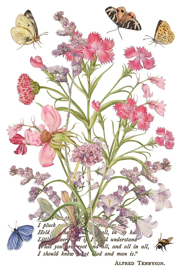iod-primrose-isle-botanical-transfer-decor.jpg9.jpg