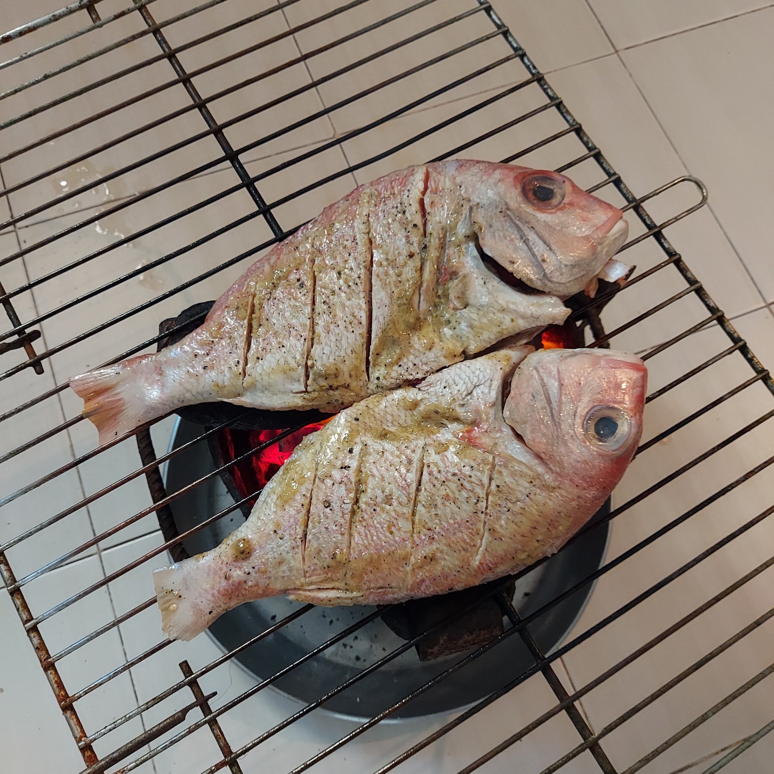 Grilling the red snapper