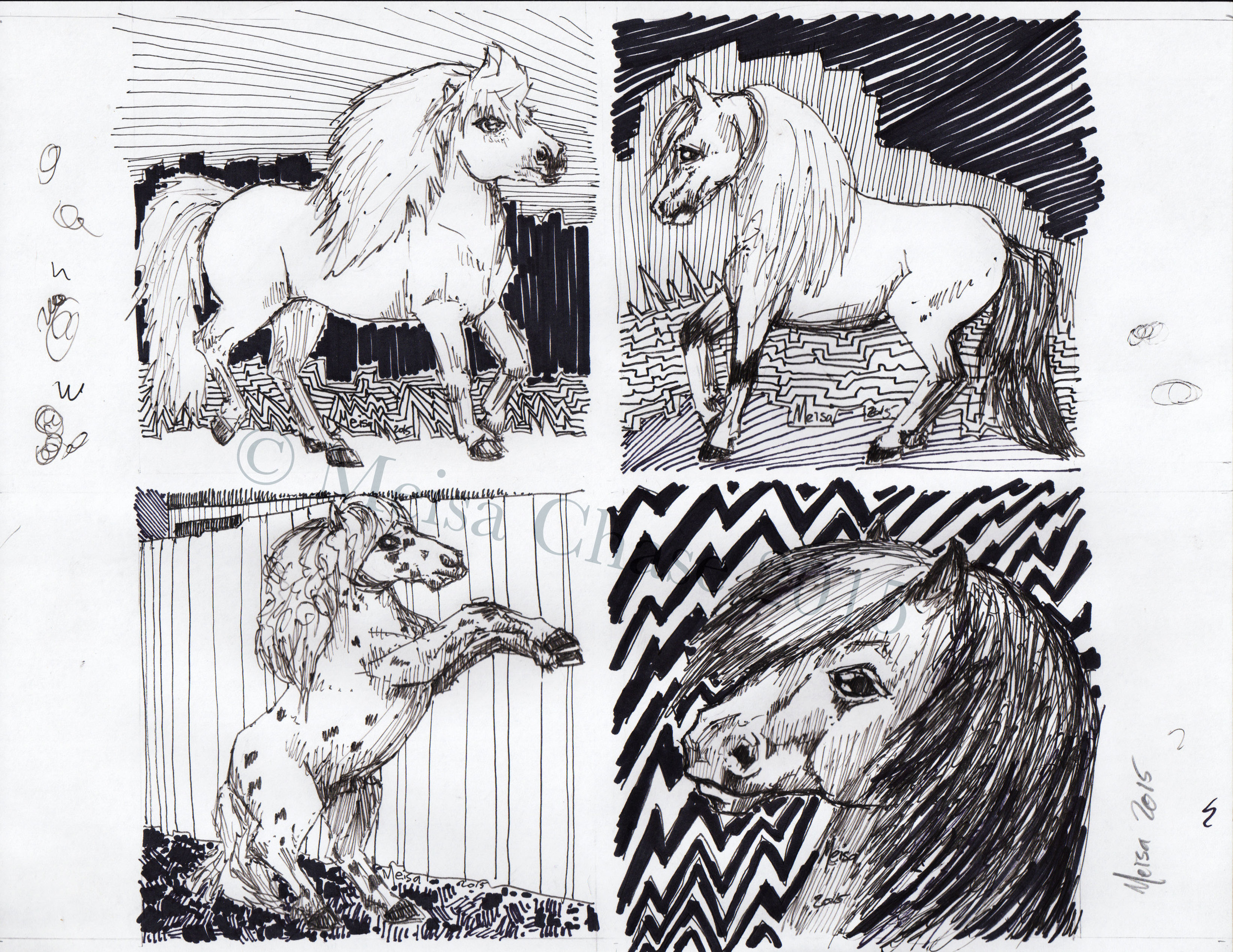 mini horse x 4 sample sheet