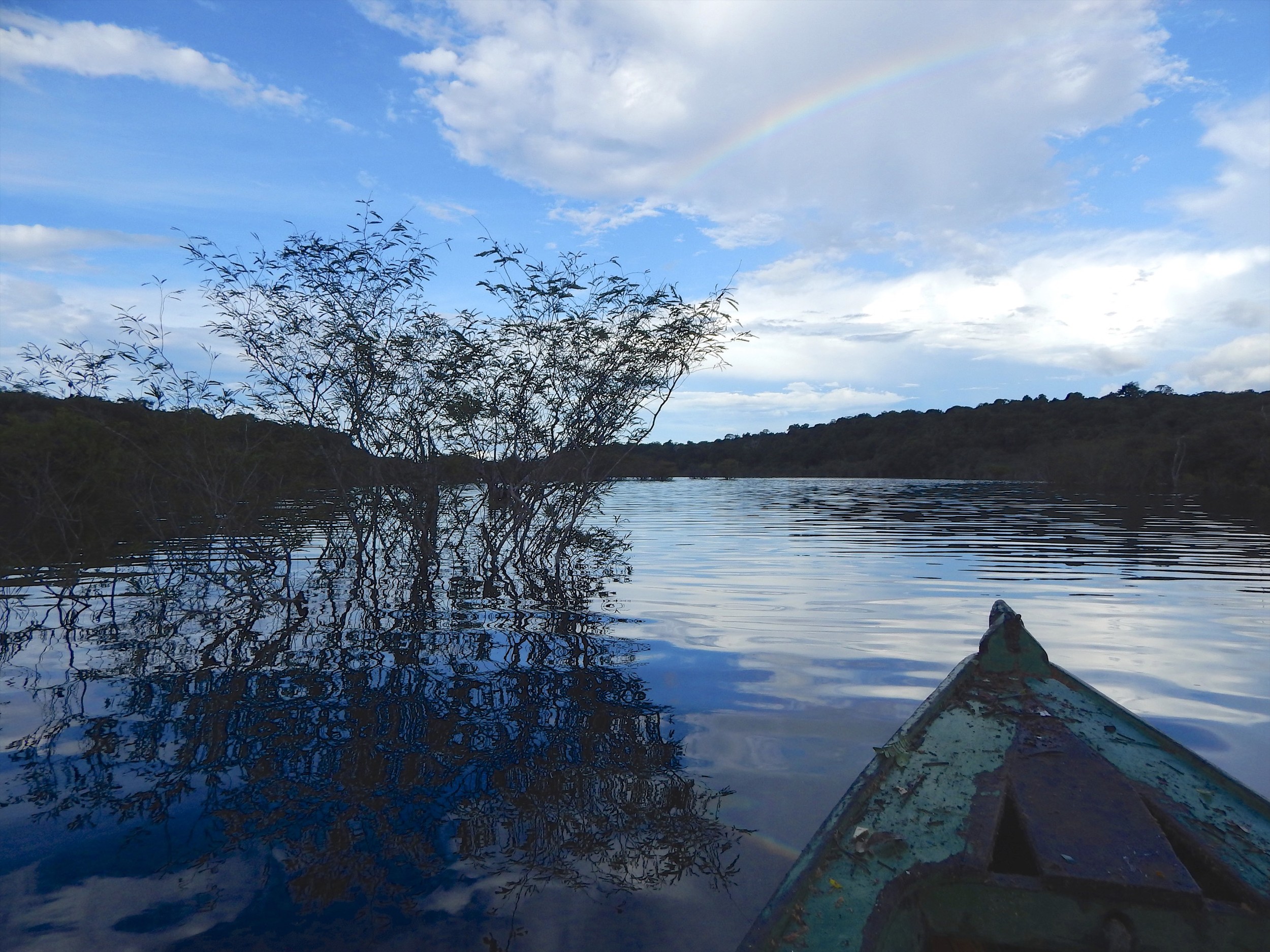 The Rio Negro - The Black River.jpg