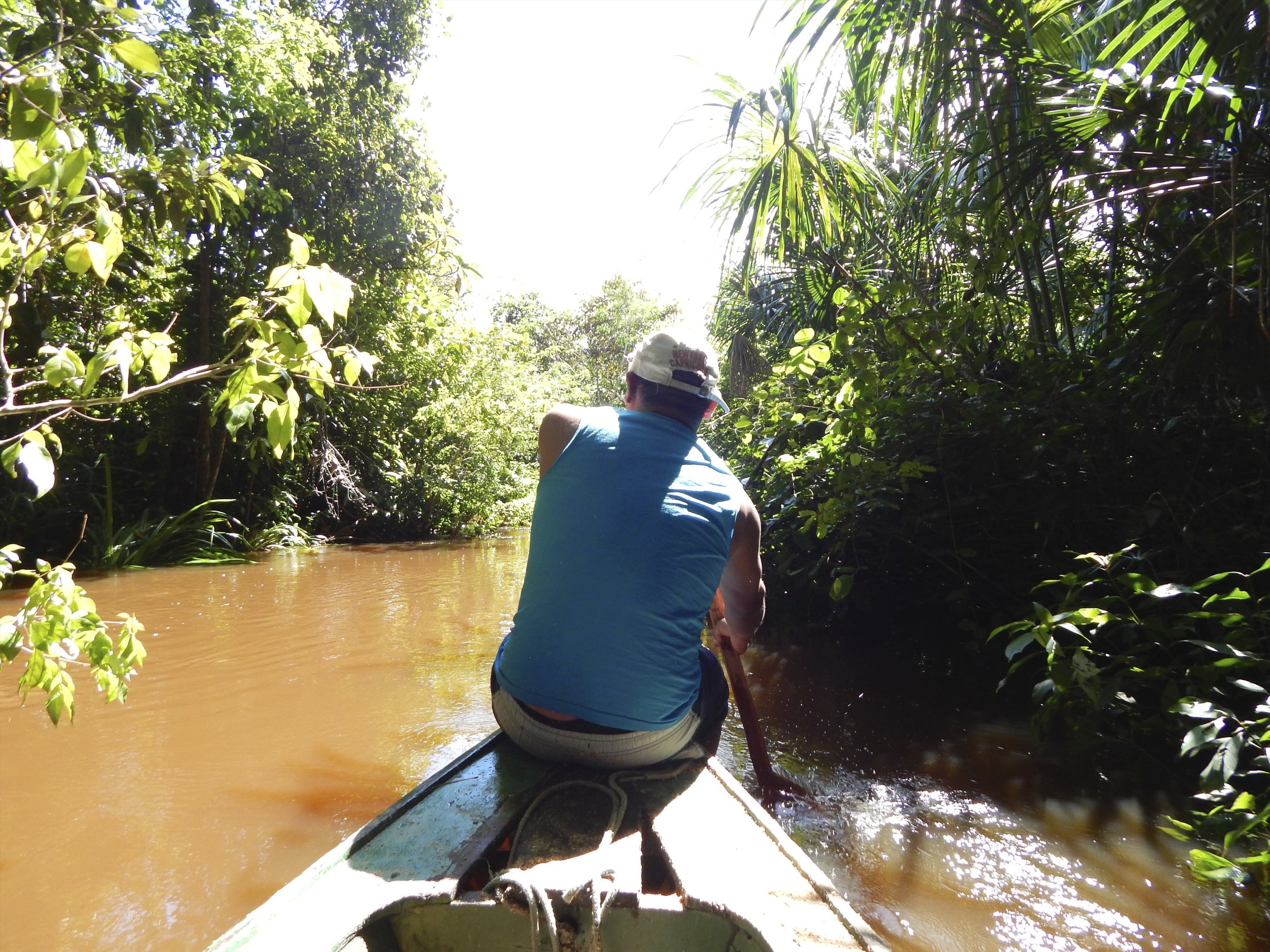 Paddling down an Amazonian creek.jpg