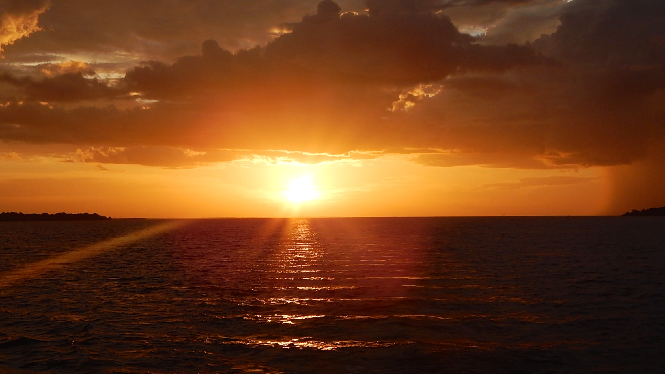 The Rio Negro - The largest backwater river in the world.jpg