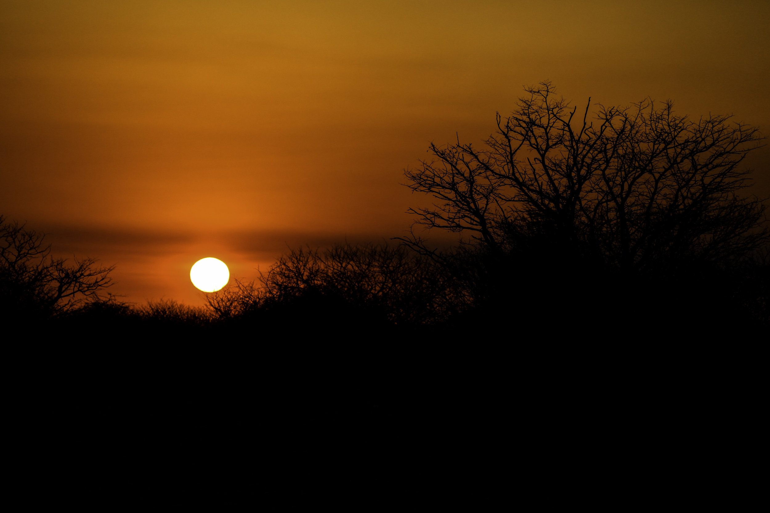 Sun setting in the wilds of Namibia.jpg