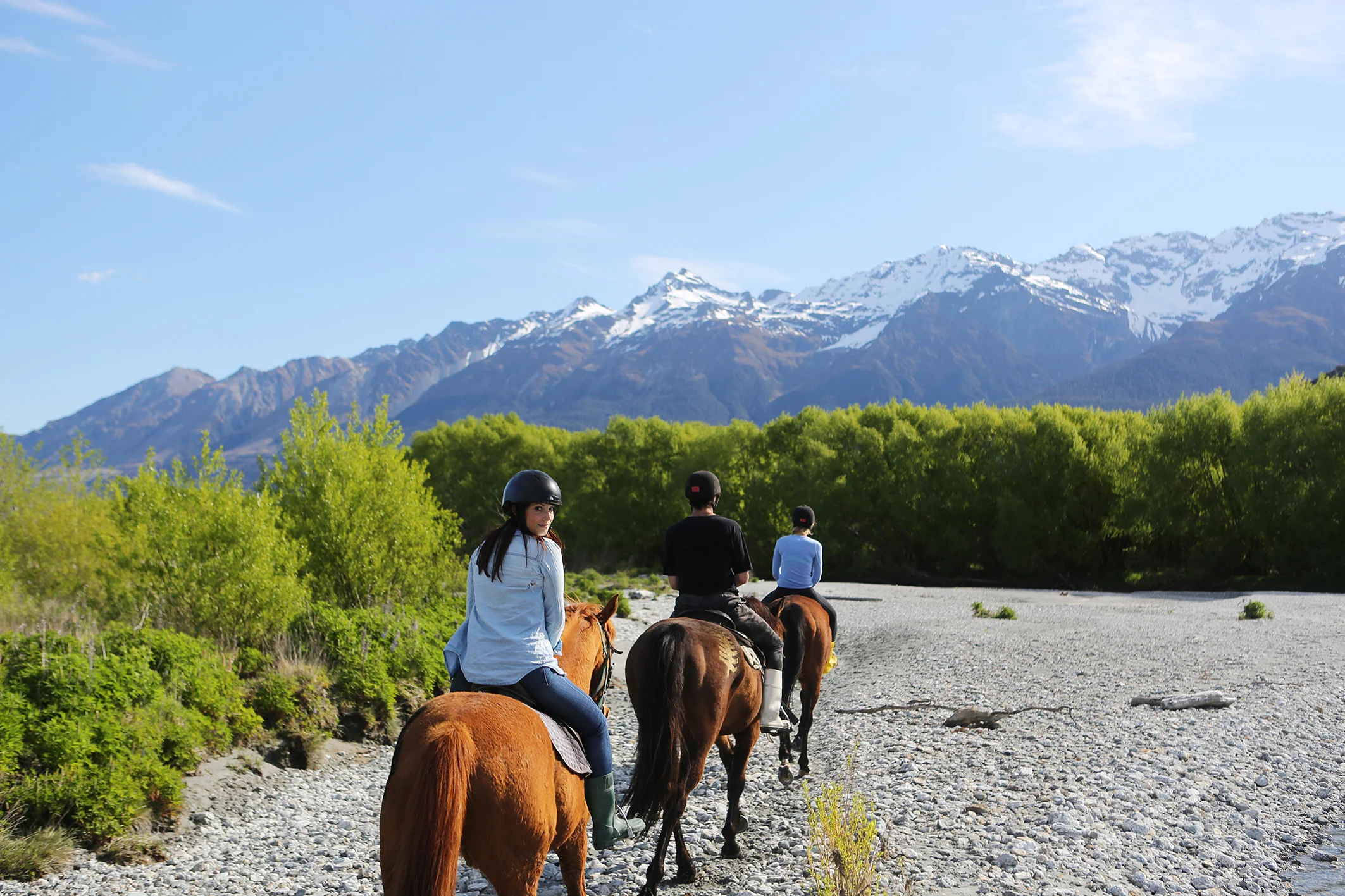 High Country Horses, Glenorchy.