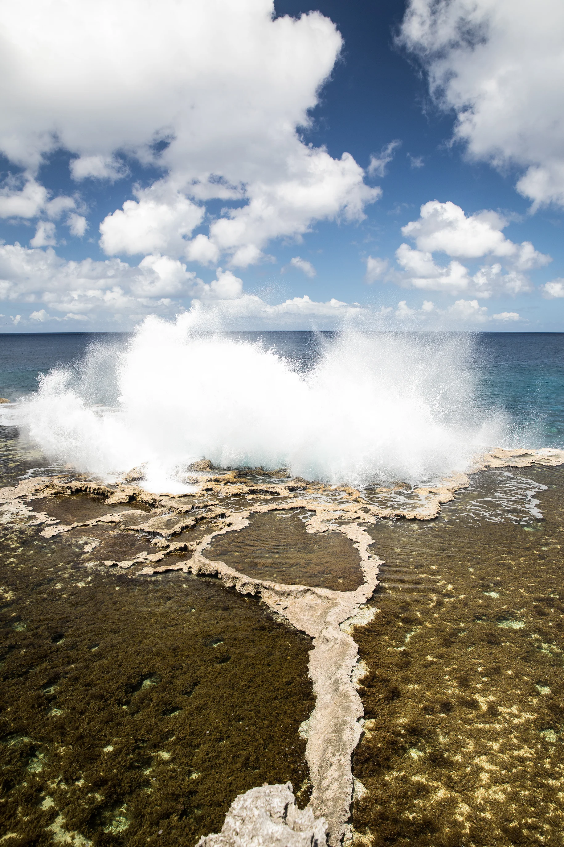 Tonga.