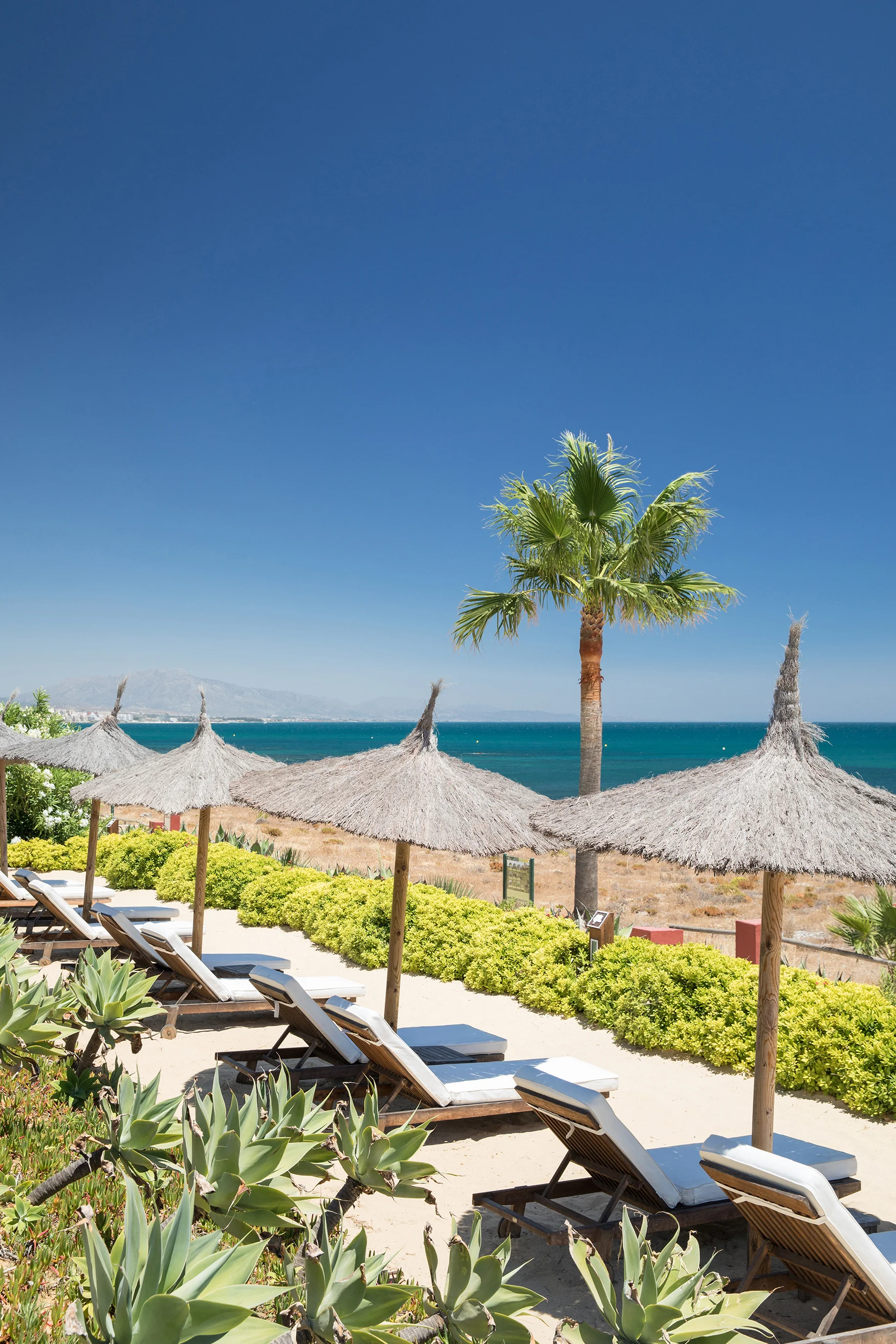 rt_finca (19 of 38).jpg
