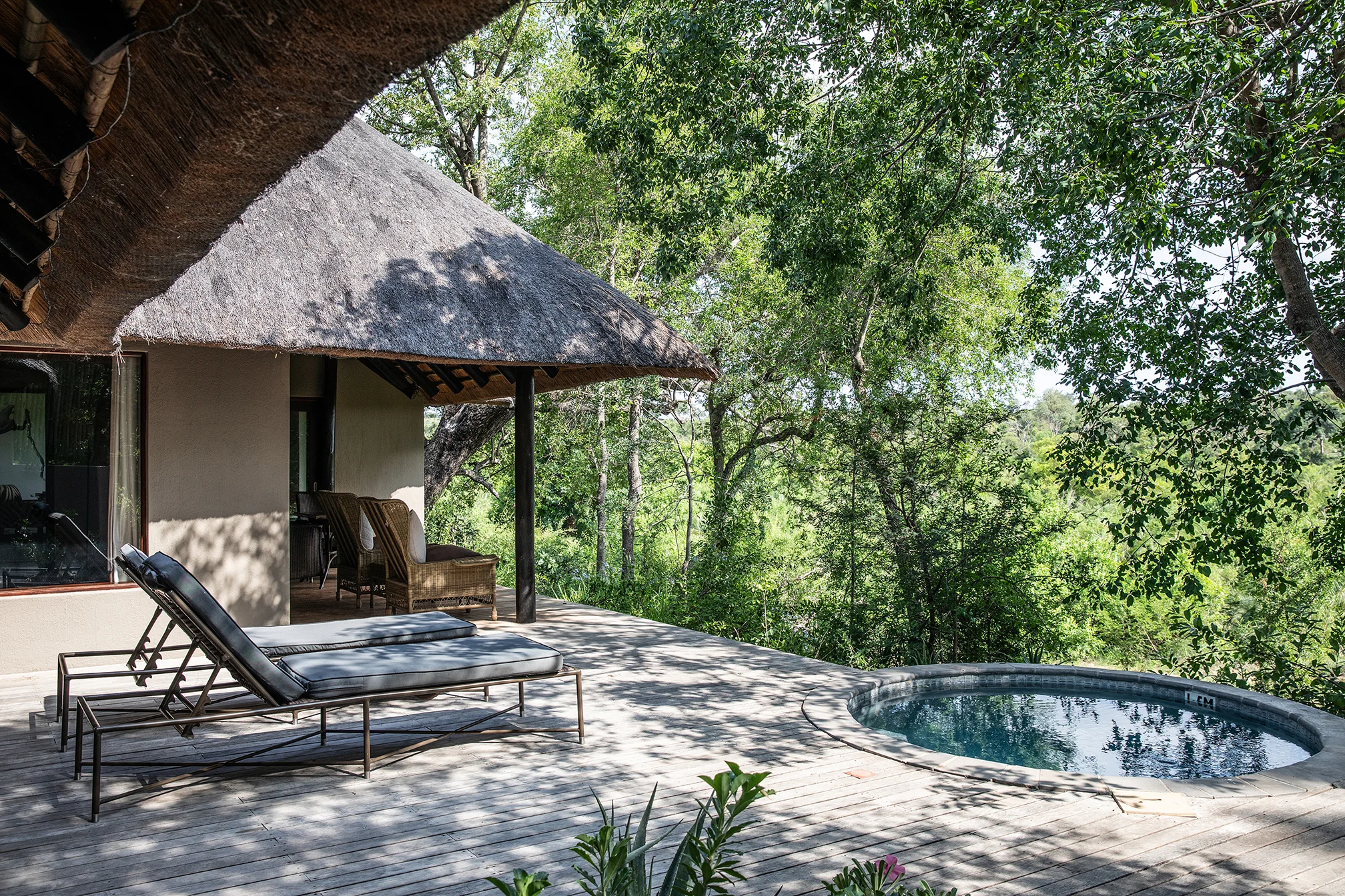 RT_Londolozi-37.jpg