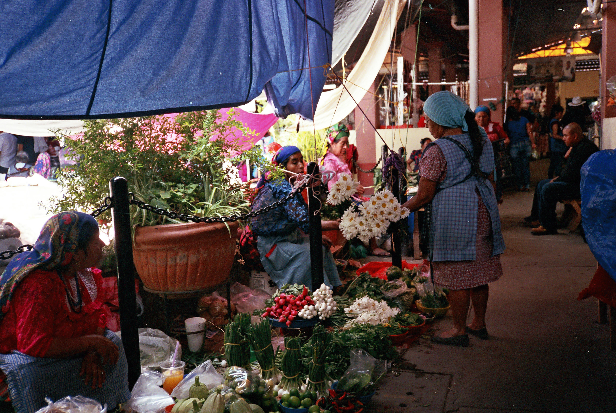 Mercado de Tlacolula, Oaxaca