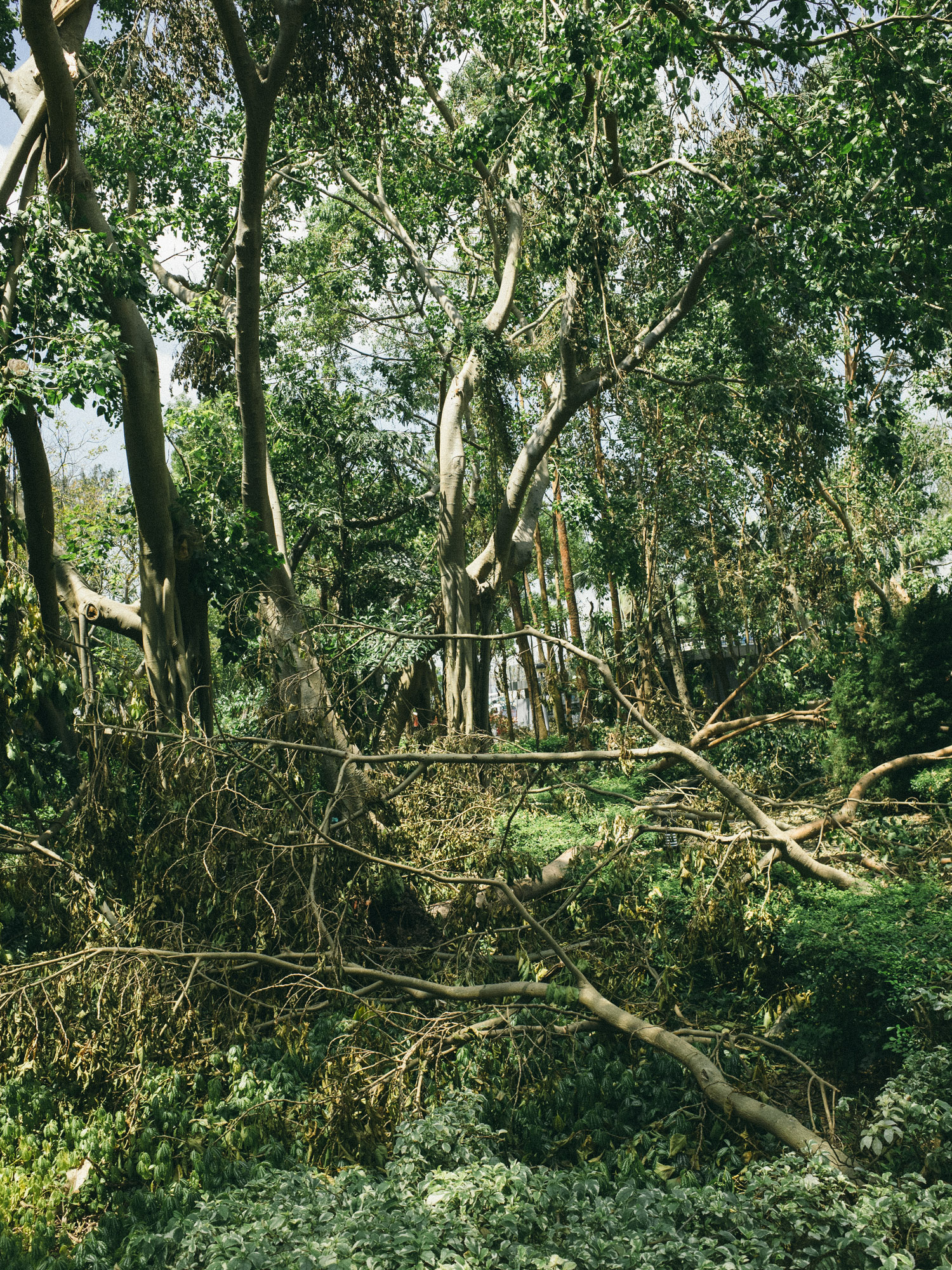 R0005003.jpg