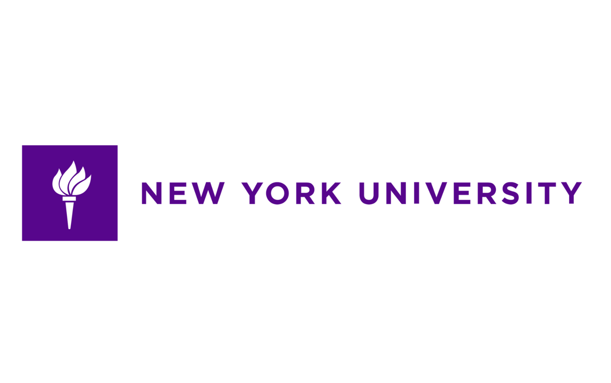 New York University
