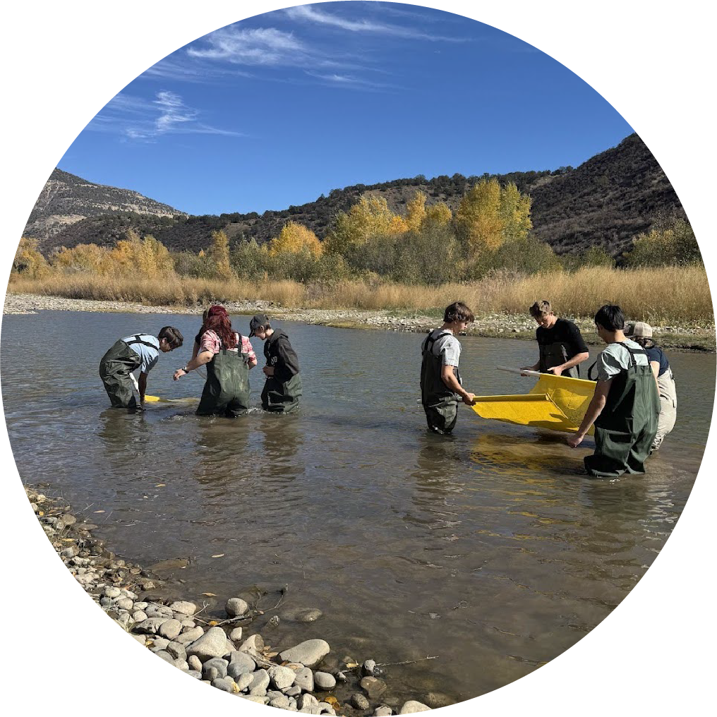 Watershed students in waders sampling a river during fieldwork