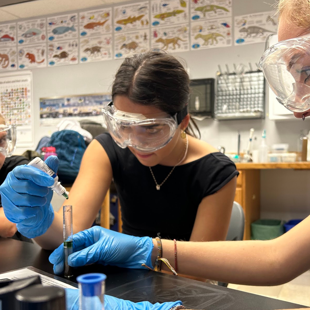 Private School for Grades 612 Watershed School