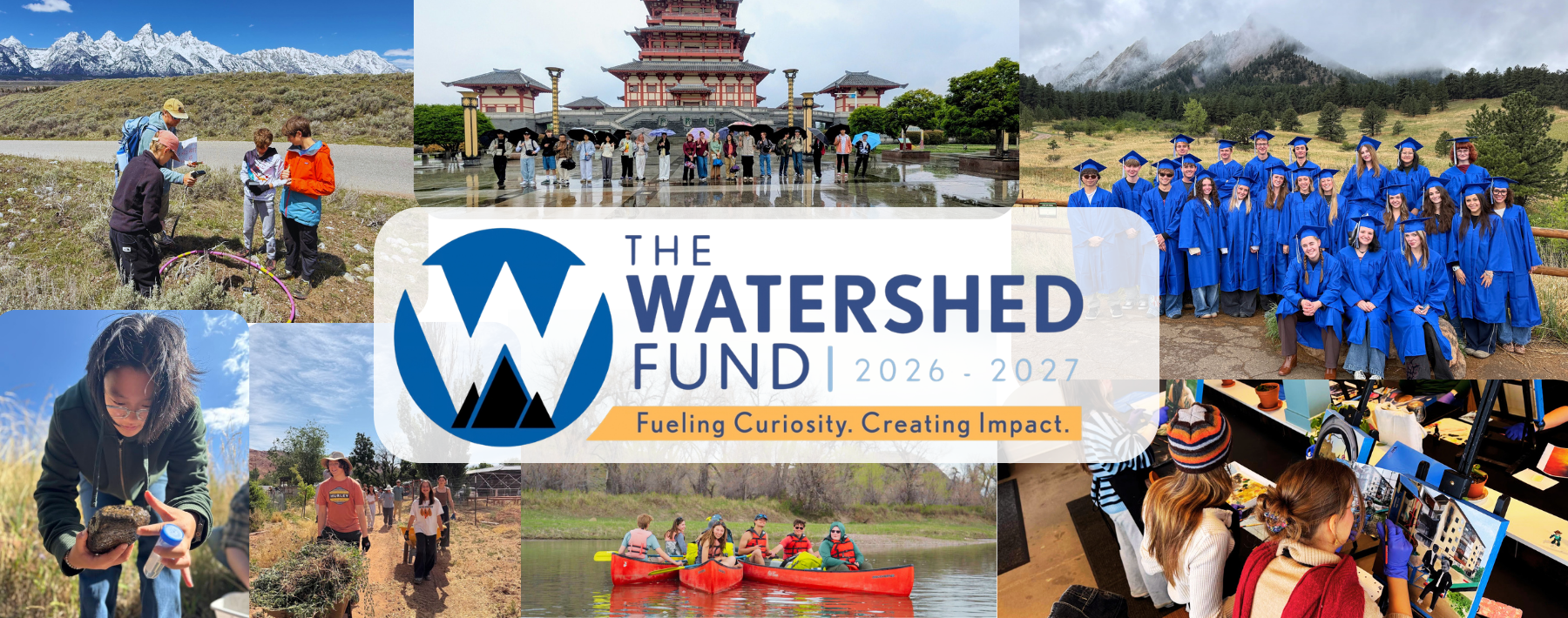 WSF BANNER.png