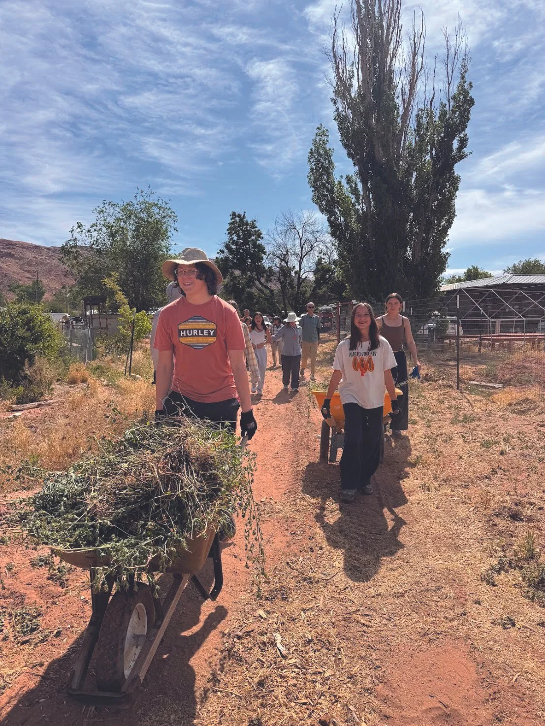 Watershed students hauling wheelbarrows on a farm service project