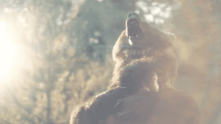 GEICO - Forest-high.gif
