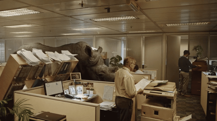 A rhinoceros in an office for Cesar Rhino Friendly Office