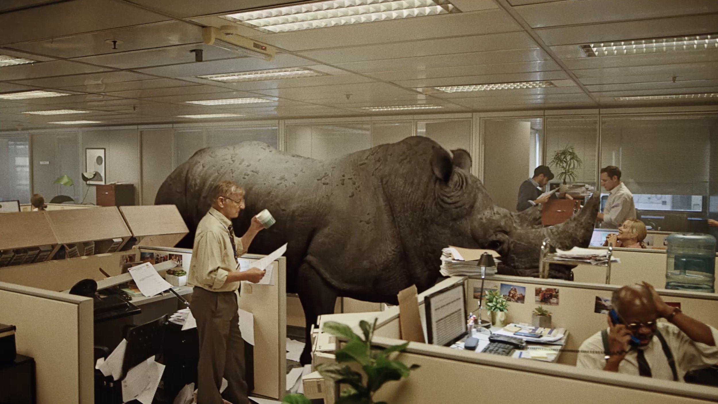 Rhino Friendly Office campaign still