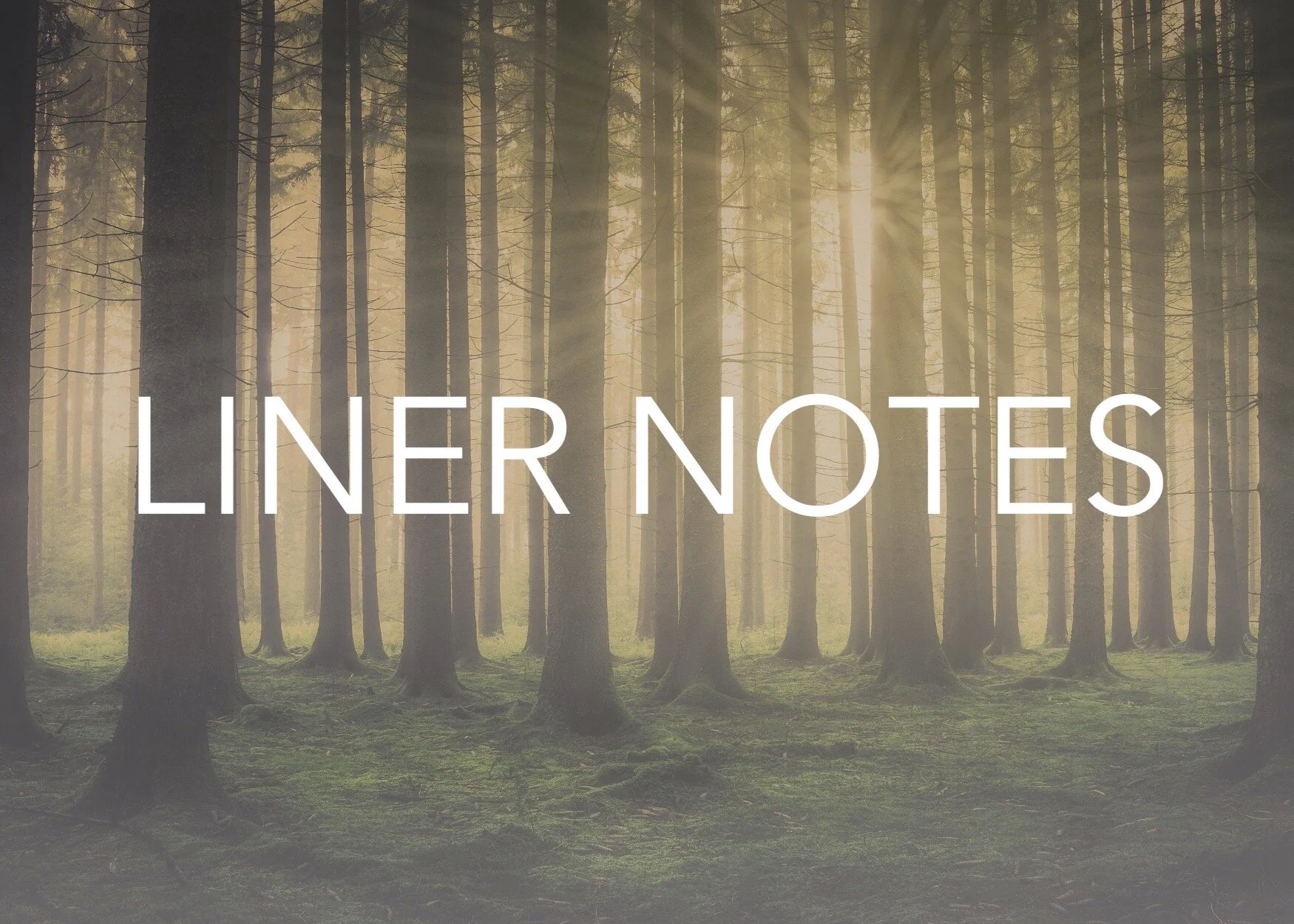 Liner Notes 2.jpeg