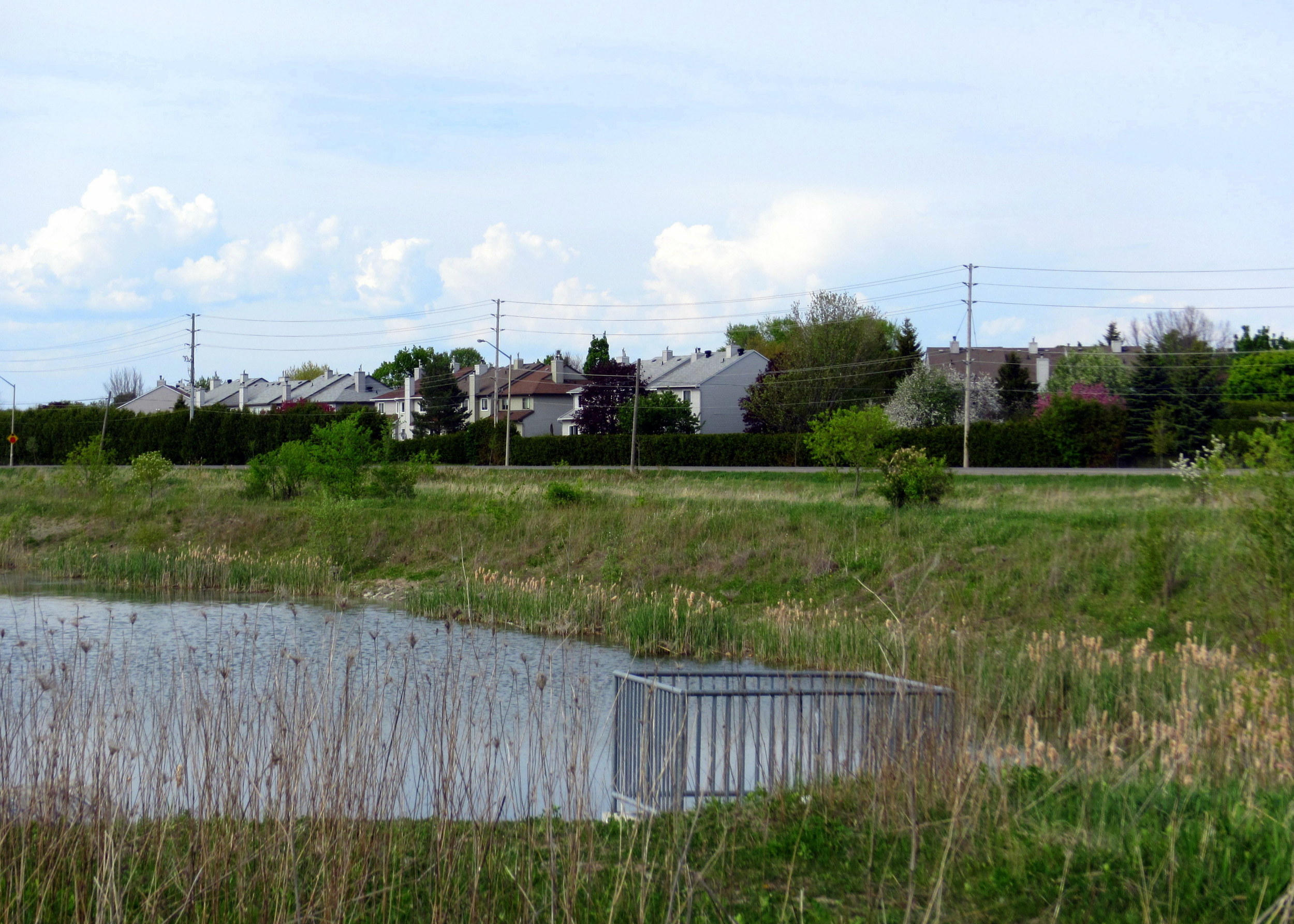 Site of proposed subdivision.