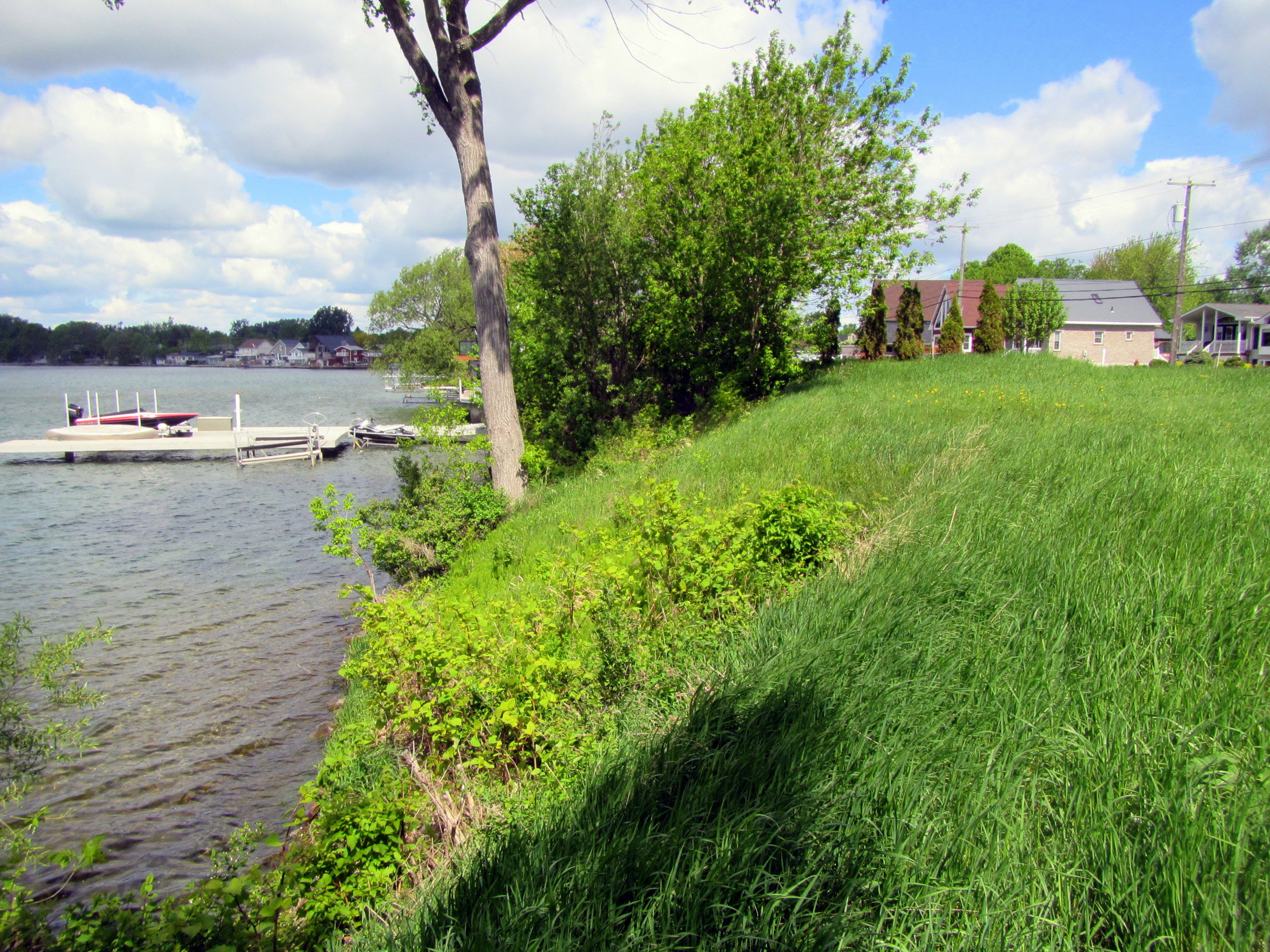 Site of proposed shore-side development.