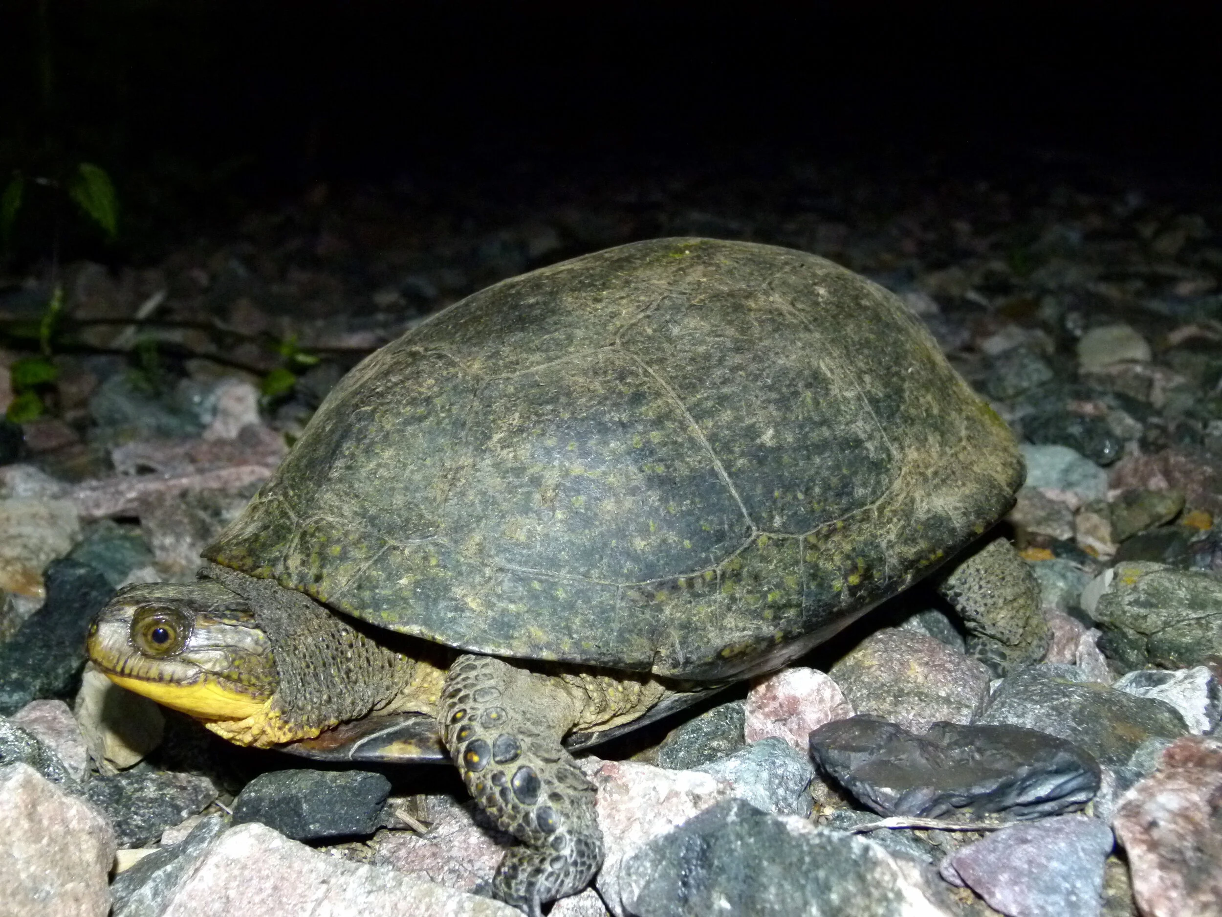 McKinley Environmental Solutions