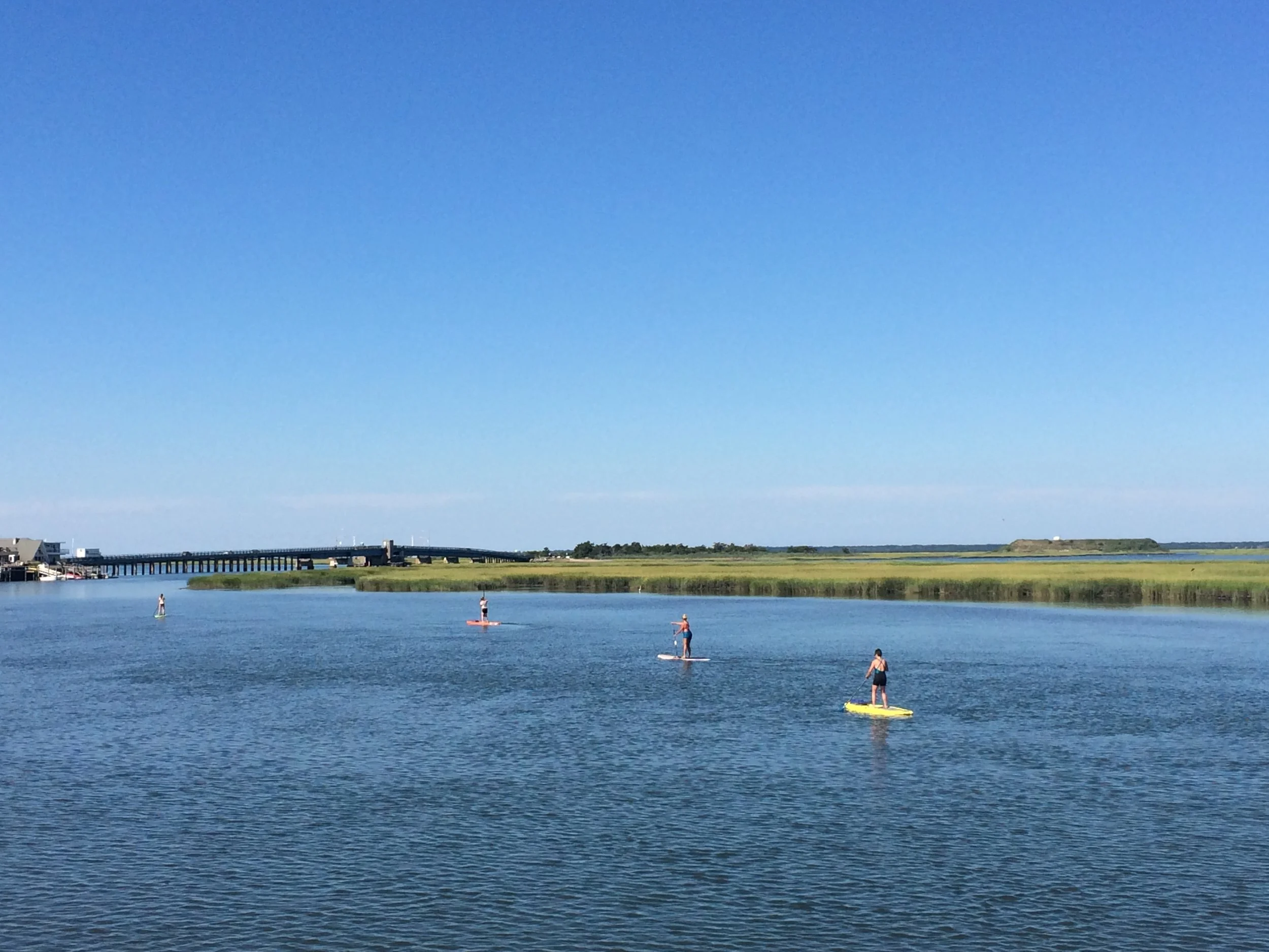 Paddling around Sedge Island at 114th Street and the bay in Stone Harbor, New Jersey. Part of our 1.5 to 2 mile long back bay eco tour.